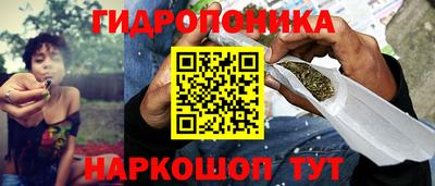 СК Уссурийск