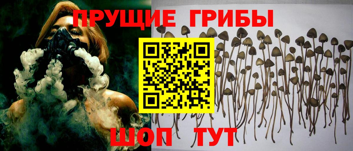 Нефтекамск  Псилоцибиновые грибы Magic Shrooms  Вход с VPN 